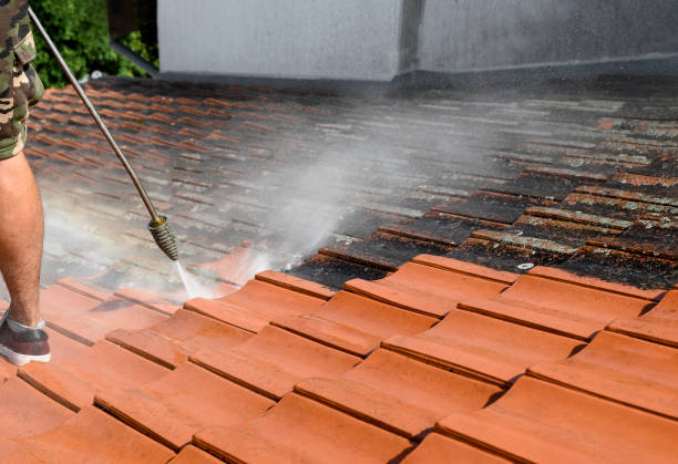 Best Deck Pressure Washing  in Jacksonville, FL